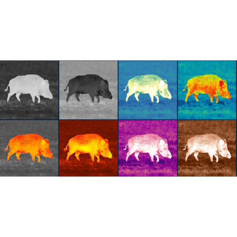 Pulsar Axion Compact XQ30 - Monoculaire d'imagerie thermique