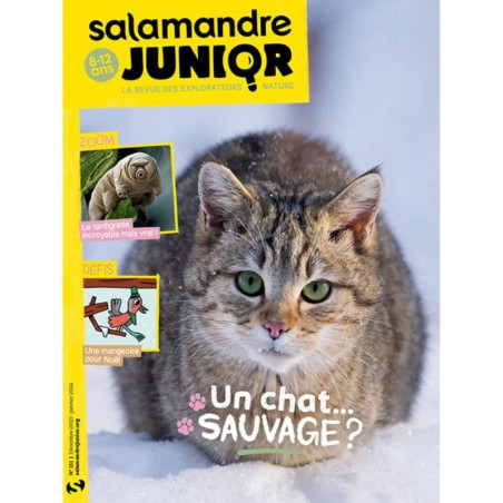 Un chat… sauvage ? - Salamandre Junior N°151