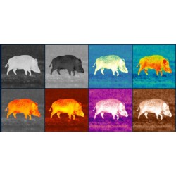 Pulsar Axion XG35 Compact - Monoculaire d'imagerie thermique