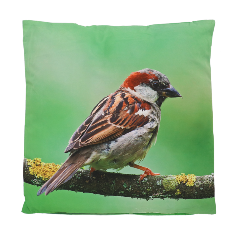 Coussin Moineau - Grand format