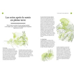 Produire ses plants - Les guides du jardinier maraîcher