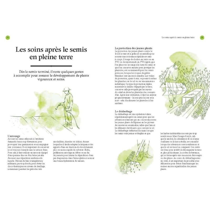 Produire ses plants - Les guides du jardinier maraîcher