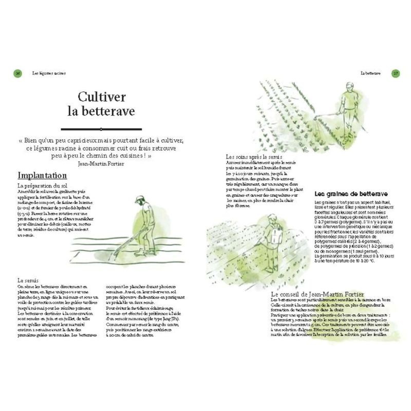 Les Légumes racines - Les guides du jardinier maraîcher