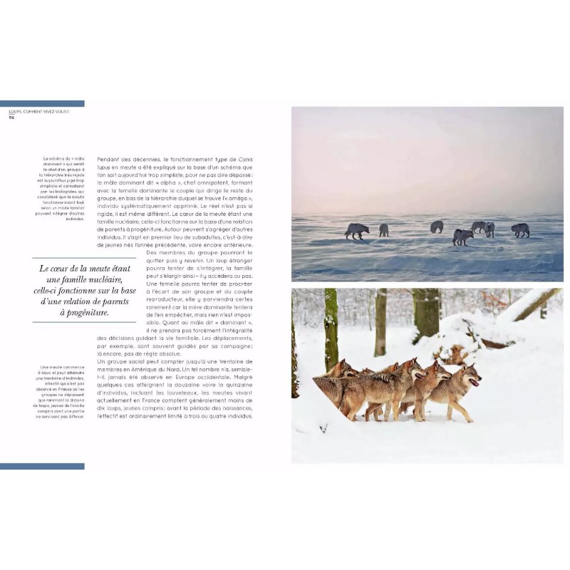 Loups - un mythe vivant Loups - un mythe vivant