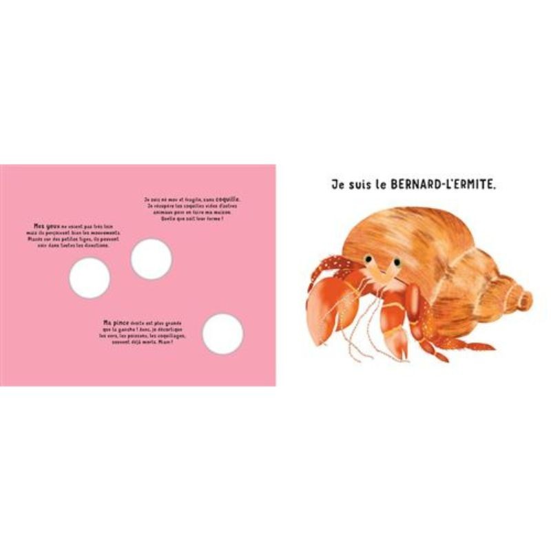 Qui suis-je ? Qui suis-je ?