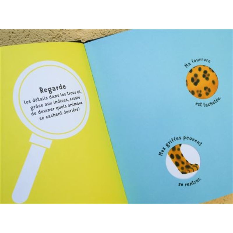 Qui suis-je ? Qui suis-je ?