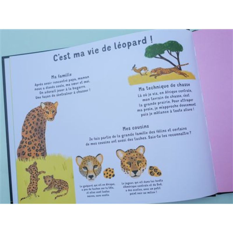 Qui suis-je ? Qui suis-je ?