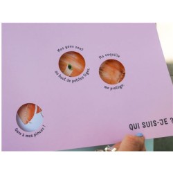 Qui suis-je ? Qui suis-je ?