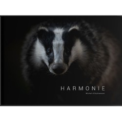Harmonie Harmonie