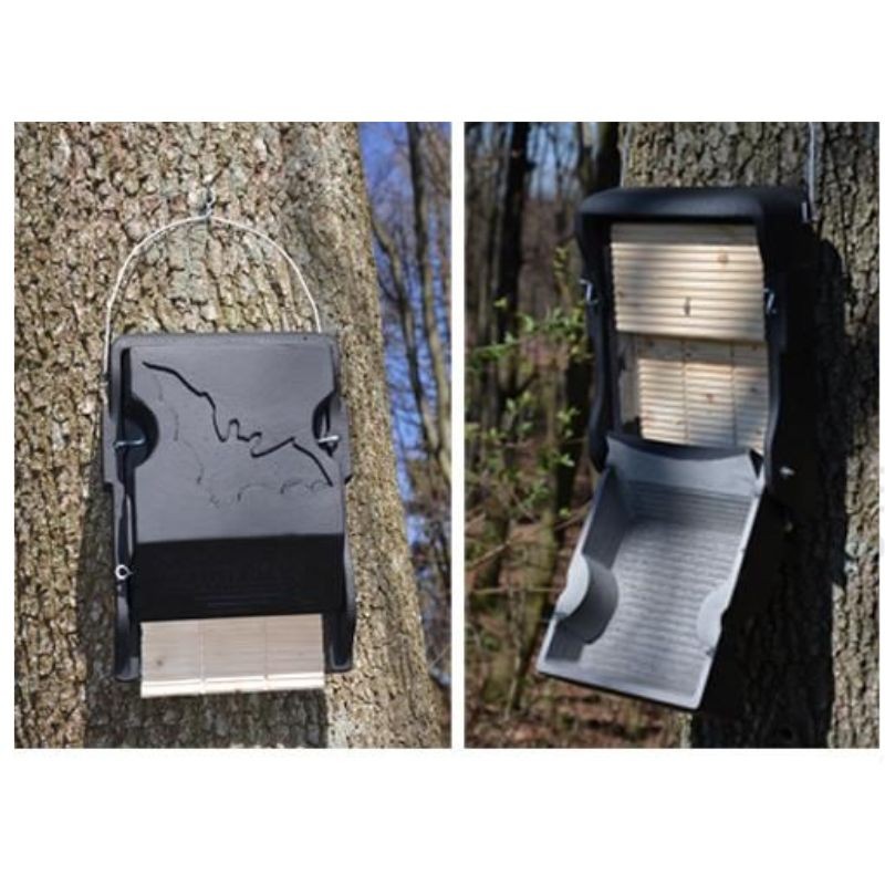 Gîte à chauves-souris avec trappe d'inspection - Schwegler (3FF+ - 238/9)