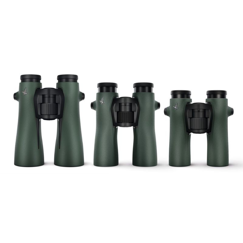 Swarovski - NL Pure 10x32 - vert - Jumelles Swarovski - NL Pure 10x32 - vert - Jumelles