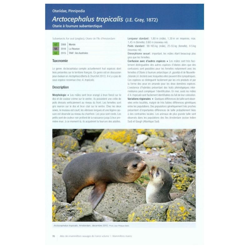 Atlas des mammifères sauvages de France - Vol. 1: Mammifères marins Atlas des mammifères sauvages de France - Vol. 1: Mammifères marins