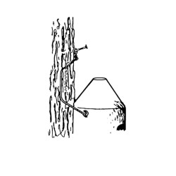 Gîte à chauves-souris universel en béton de bois - Schwegler (2F - 134/4)