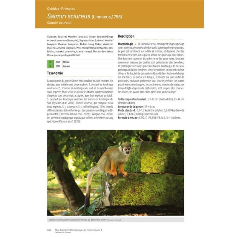 Atlas des mammifères sauvages de France - Vol. 3 : Carnivores et Primates Atlas des mammifères sauvages de France - Vol. 3 : Carnivores et Primates