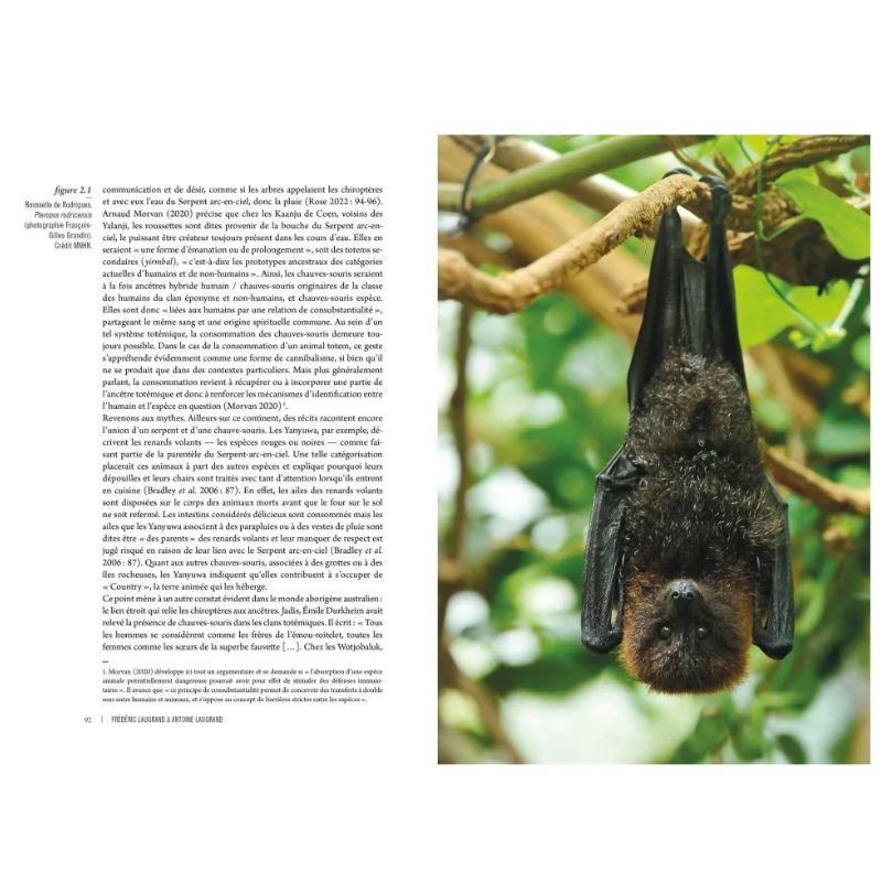 Des voies de l’ombre - Quand les chauves-souris sèment le trouble