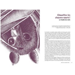 Des voies de l’ombre - Quand les chauves-souris sèment le trouble