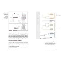 Des voies de l’ombre - Quand les chauves-souris sèment le trouble