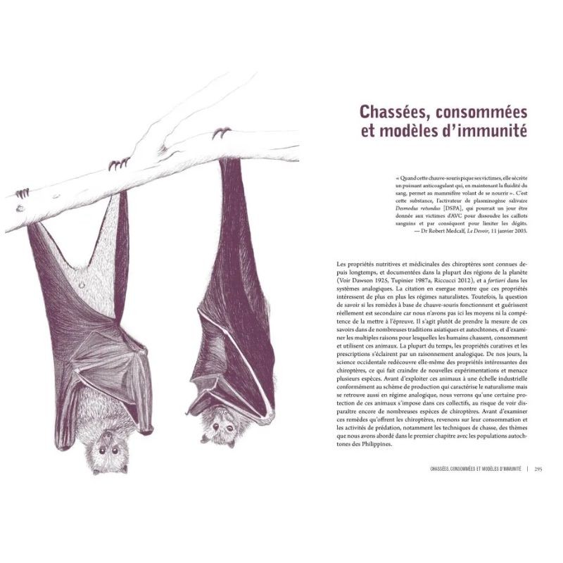 Des voies de l’ombre - Quand les chauves-souris sèment le trouble