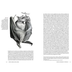 Des voies de l’ombre - Quand les chauves-souris sèment le trouble