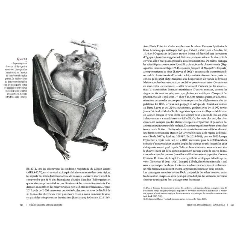 Des voies de l’ombre - Quand les chauves-souris sèment le trouble