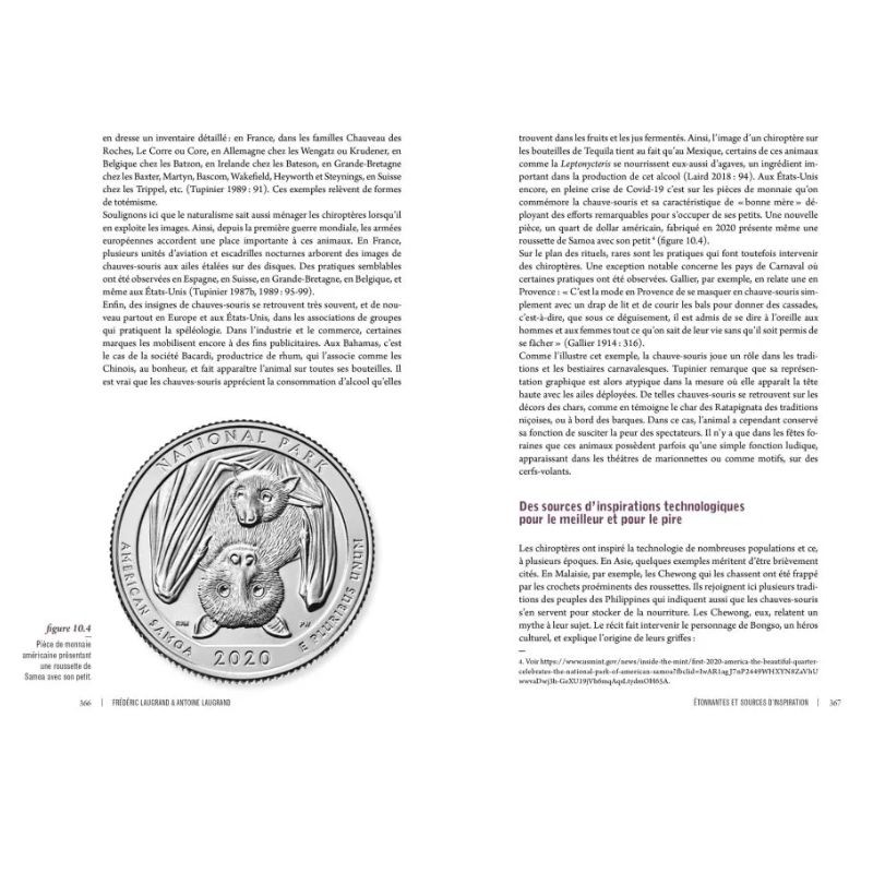 Des voies de l’ombre - Quand les chauves-souris sèment le trouble