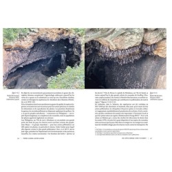 Des voies de l’ombre - Quand les chauves-souris sèment le trouble