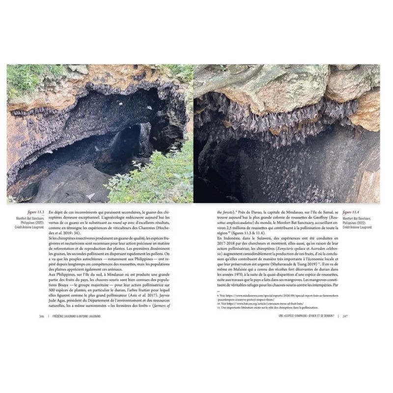 Des voies de l’ombre - Quand les chauves-souris sèment le trouble