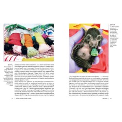 Des voies de l’ombre - Quand les chauves-souris sèment le trouble