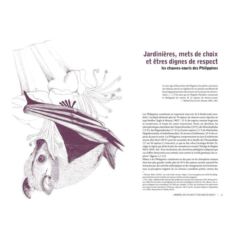 Des voies de l’ombre - Quand les chauves-souris sèment le trouble