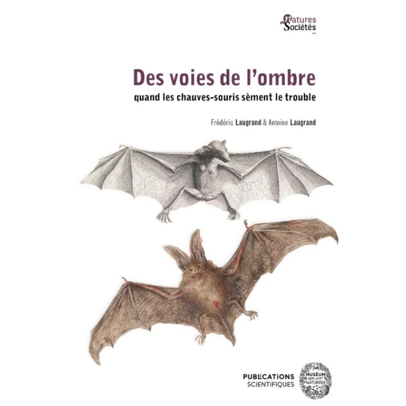 Des voies de l’ombre - Quand les chauves-souris sèment le trouble