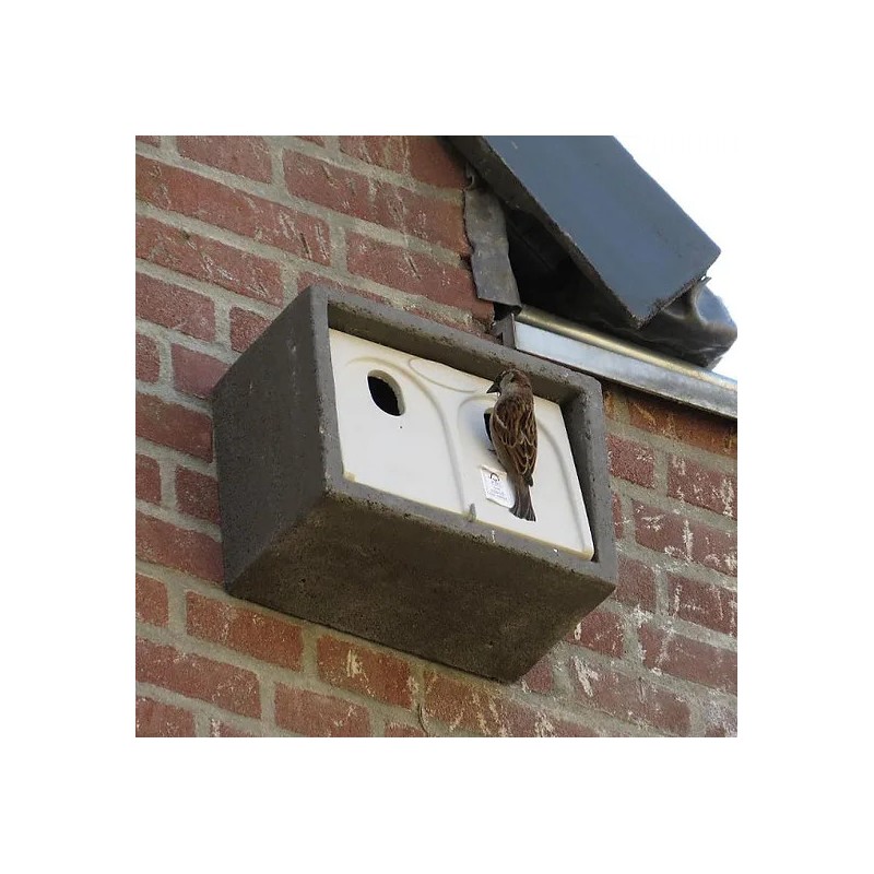 Nichoir à moineaux à encastrer IB MU 08 - Double - Béton de bois