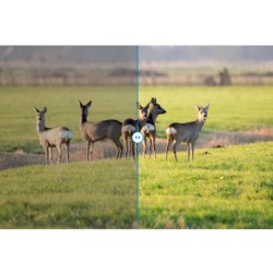 Zeiss Terra ED 8x42 - Jumelles