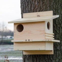 Abri à écureuils - Bois Abri à écureuils - Bois