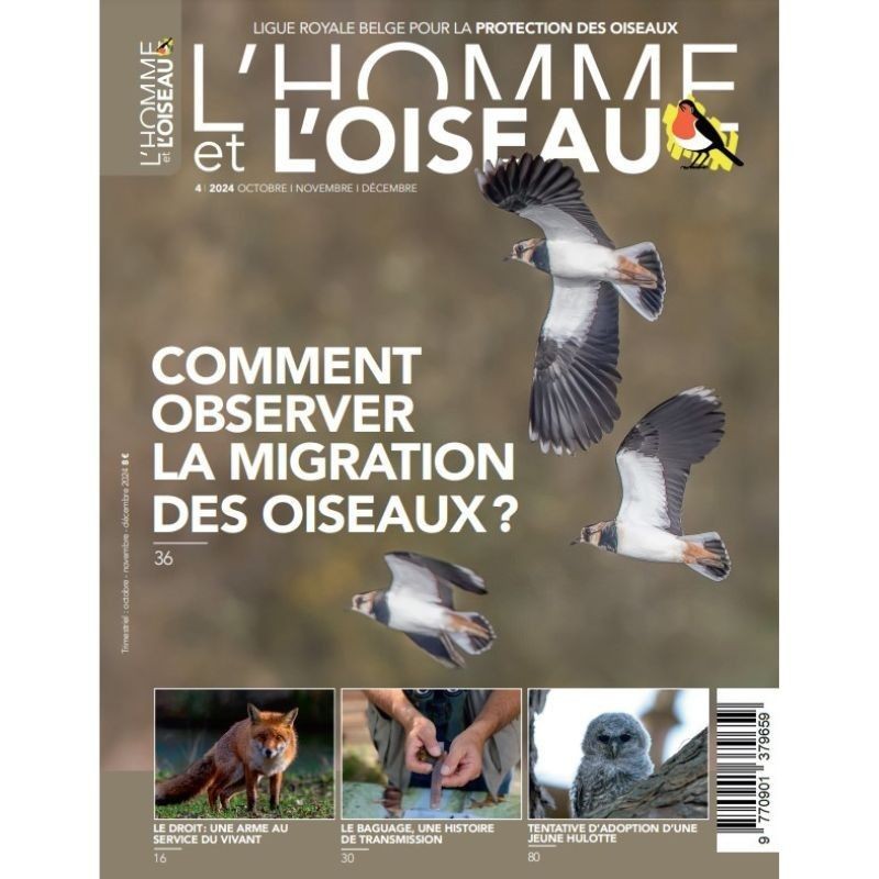 Année complète 2024 - L'Homme et l'Oiseau