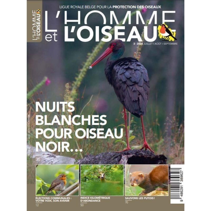 Année complète 2024 - L'Homme et l'Oiseau