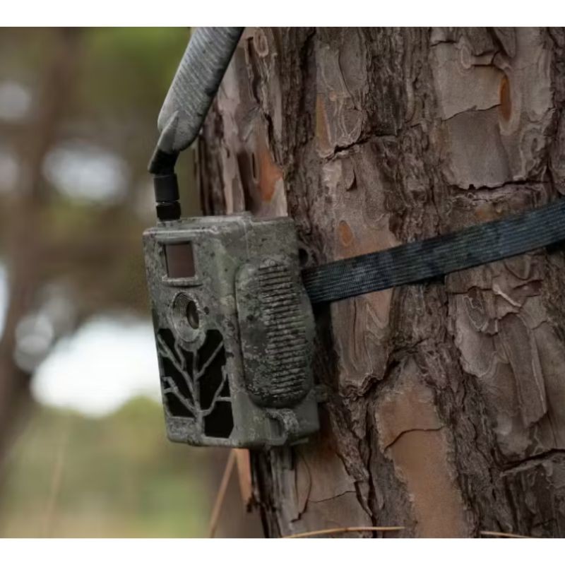 Zeiss Secacam 5 Grand Angle - Piège photographique