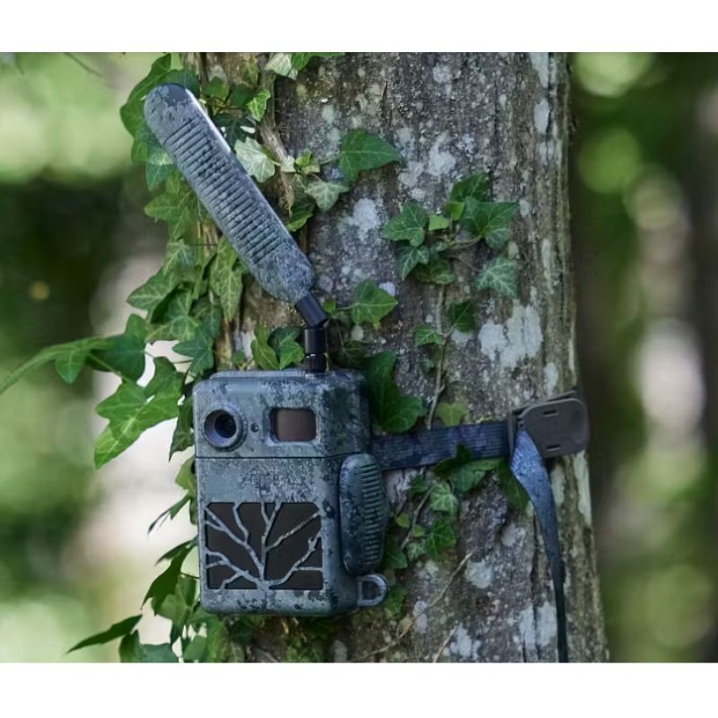 Zeiss Secacam 7 - Piège photographique Zeiss Secacam 7 - Piège photographique