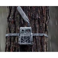 Zeiss Secacam 7 - Piège photographique Zeiss Secacam 7 - Piège photographique