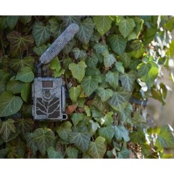 Zeiss Secacam 5 - Piège photographique Zeiss Secacam 5 - Piège photographique