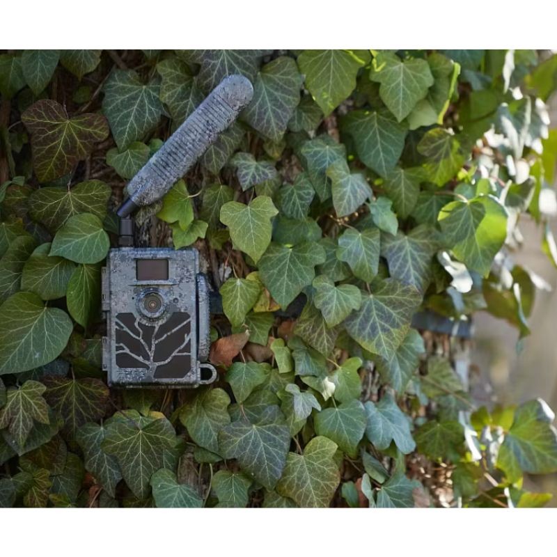 Zeiss Secacam 5 - Piège photographique Zeiss Secacam 5 - Piège photographique