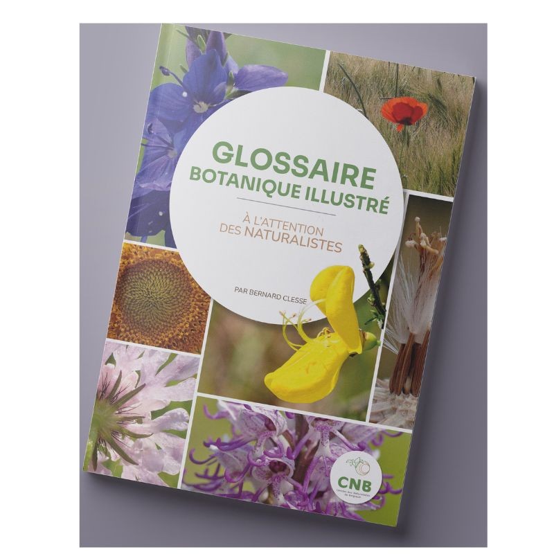 Glossaire botanique illustré