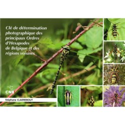 Clé de détermination photographique des principaux Ordres d’Hexapodes de Belgique et des régions voisines