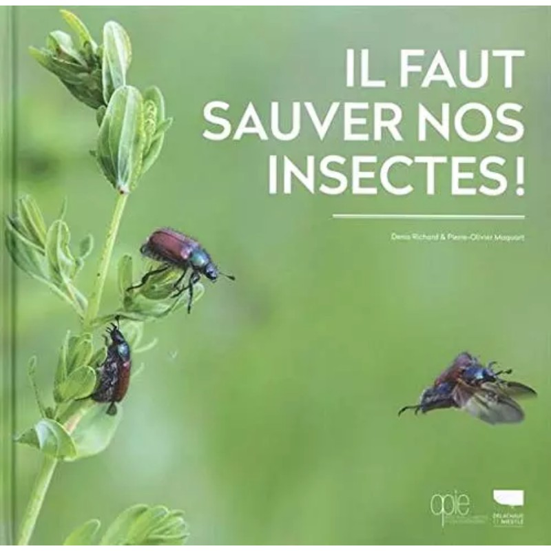 Il faut sauver nos insectes