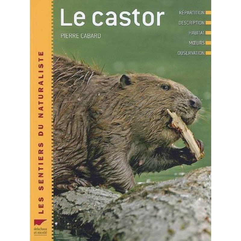 Le Castor - Répartition, description, habitat, moeurs, observation