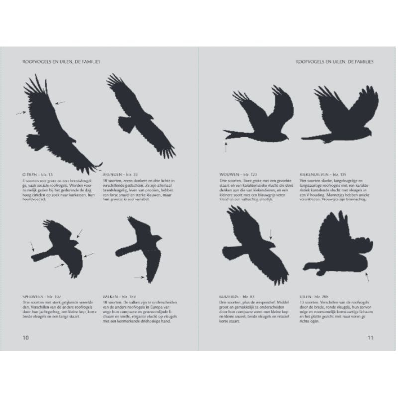 Zakgids roofvogels en uilen Zakgids roofvogels en uilen