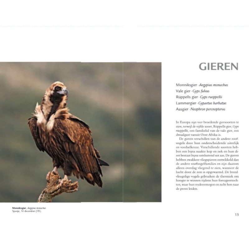 Zakgids roofvogels en uilen Zakgids roofvogels en uilen