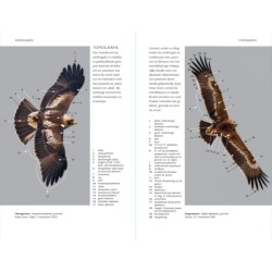 Zakgids roofvogels en uilen Zakgids roofvogels en uilen