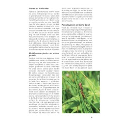Fauna en flora van het Groene Woud Fauna en flora van het Groene Woud