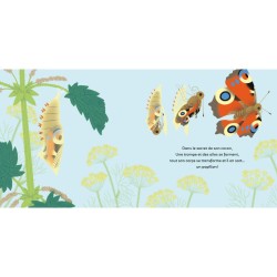 Les P'tits Papillons