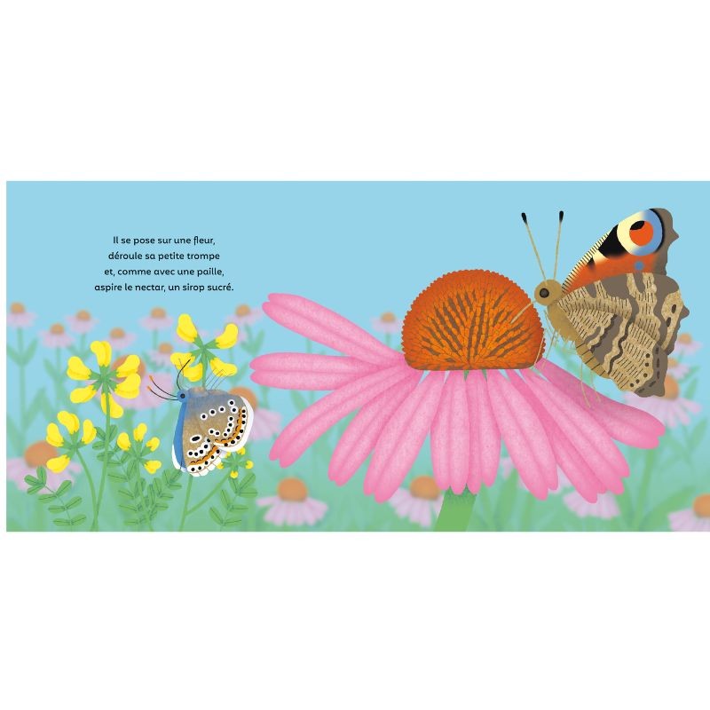 Les P'tits Papillons